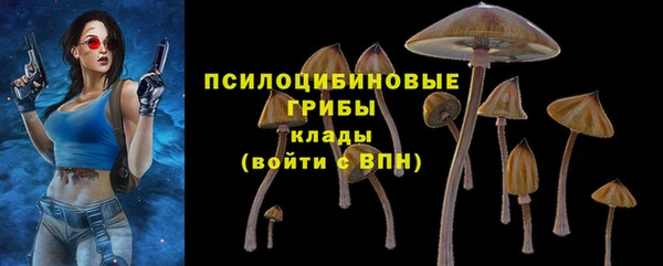 соль ск Алексеевка