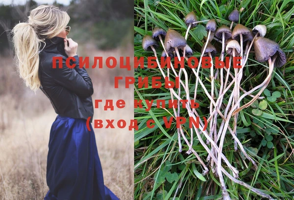 мет Алзамай