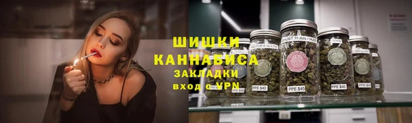 индика Семилуки