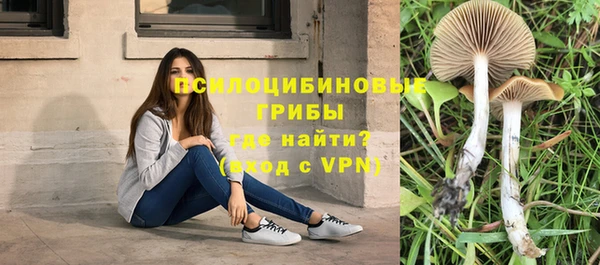 соль ск Алексин