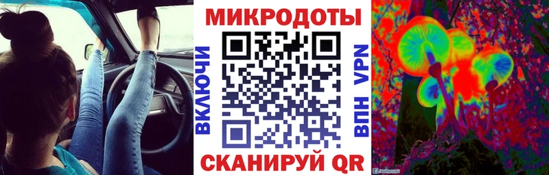 купить   Избербаш  Галлюциногенные грибы Cubensis 