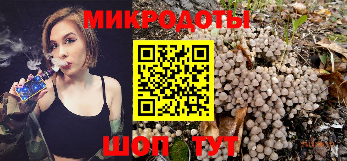 Псилоцибиновые грибы Psilocybine cubensis Избербаш